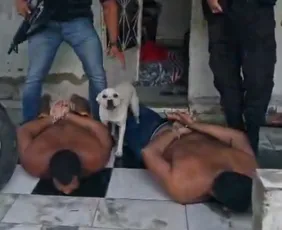 Imagem ilustrativa da imagem Foragidos por roubos de cargas em rodovias do ES são presos em operação no RJ