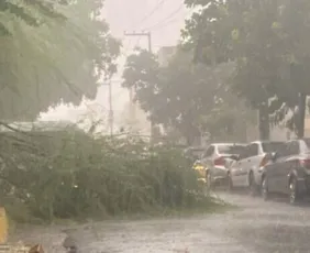 Imagem ilustrativa da imagem Gelo no Sertão: entenda o que causou a chuva de granizo em Serra Talhada