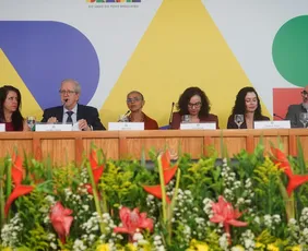 Imagem ilustrativa da imagem Governo lança Plano Clima com meta de reduzir emissões até 2035