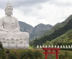 Imagem ilustrativa da imagem Imersões Criativas de 2026 começam com artista luso-brasileiro em Ibiraçu