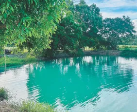 Imagem ilustrativa da imagem Itapemirim além das praias: conheça as atrações turísticas da cidade