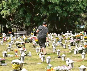 Imagem ilustrativa da imagem Lei em São Paulo permite sepultamento de pets junto aos seus tutores