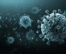 Imagem ilustrativa da imagem Ministério da Saúde diz que vírus Nipah não ameaça o Brasil