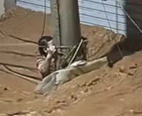 Imagem ilustrativa da imagem Mulher passa 3h agarrada a poste durante enxurrada em MG: ‘Via coisas passando'