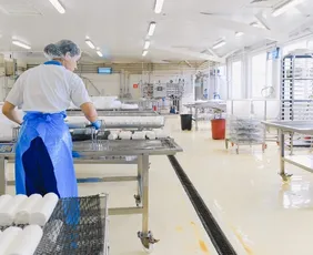 Imagem ilustrativa da imagem Mulheres avançam no mercado de trabalho, mas são as mais afetadas por desemprego