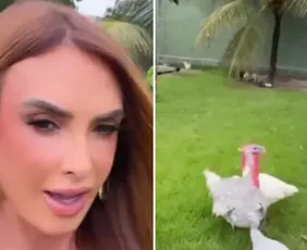 Imagem ilustrativa da imagem Nicole Bahls batiza peru de Juliano Floss e justifica: 'Bonzinho e inteligente'