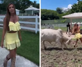 Imagem ilustrativa da imagem Nicole Bahls quase é atingida por cabeçada de vaca em momento inusitado