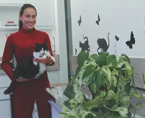 Imagem ilustrativa da imagem O que fazer se seu pet ingerir plantas tóxicas