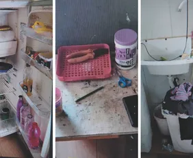 Imagem ilustrativa da imagem O que se sabe sobre o caso da mulher que deixou três filhos sozinhos em casa no ES