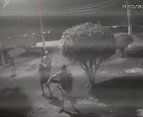 Imagem ilustrativa da imagem Oito homens espancam capivara com pedaços de pau no Rio de Janeiro