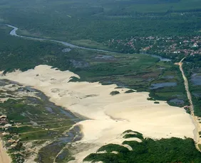 Imagem ilustrativa da imagem Parque ambiental capixaba atua no resgate de animais
