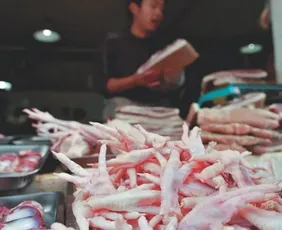 Imagem ilustrativa da imagem Pé de galinha produzido no ES atrai interesse milionário da China