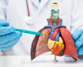 Imagem ilustrativa da imagem Pneumonia já provocou 190 mortes e 1.200 internações este ano no ES