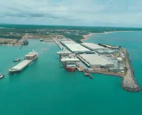 Imagem ilustrativa da imagem Portocel tem maior volume de cargas de sua história