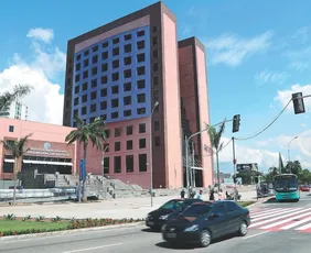 Imagem ilustrativa da imagem Propostas para sepultar cães e gatos junto com donos tramitam na Assembleia