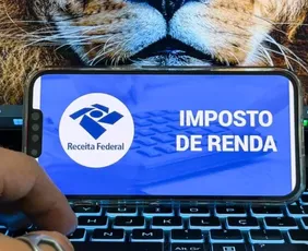 Imagem ilustrativa da imagem Receita abre consulta a lote da malha fina do Imposto de Renda