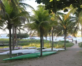 Imagem ilustrativa da imagem Segunda Flotilha “Sumud” une canoagem e solidariedade à Palestina em Vitória