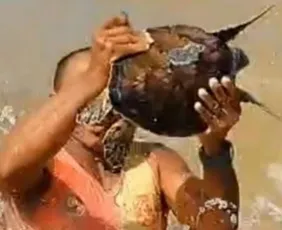 Imagem ilustrativa da imagem Tartaruga é resgatada após ficar presa em rede de pesca no ES