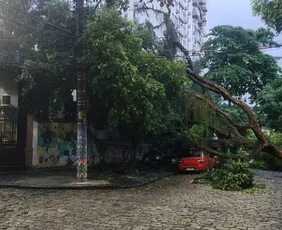 Imagem ilustrativa da imagem Temporal deixa 400 desalojados e faz soar sirenes em Angra dos Reis (RJ)