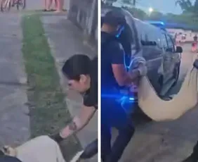 Imagem ilustrativa da imagem Três adolescentes são apreendidos suspeitos de arremessar cão do alto de um prédio