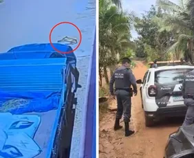 Imagem ilustrativa da imagem VÍDEO | Cadela é atropelada e caso vai parar na polícia no interior do ES