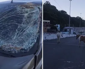 Imagem ilustrativa da imagem VÍDEO | Carro fica destruído após atropelar cavalos na descida da Segunda Ponte