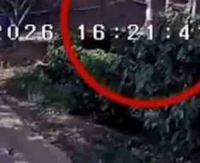 Imagem ilustrativa da imagem VÍDEO | Homem é morto a tiros após se envolver em briga em bar no Noroeste do ES