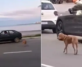 Imagem ilustrativa da imagem VÍDEO | Idoso que abandonou cachorro em Guarapari é localizado pela polícia