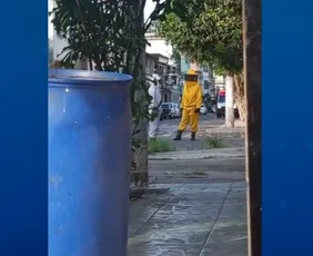 Imagem ilustrativa da imagem VÍDEO | Seis pessoas ficam feridas após ataque de abelhas em Vila Velha