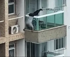 Imagem ilustrativa da imagem VÍDEO | Trabalhador se arrisca pendurado na varanda de apartamento em Vila Velha
