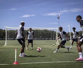 Imagem ilustrativa da imagem Vasco será julgado no STJD após confusão no Brasileirão