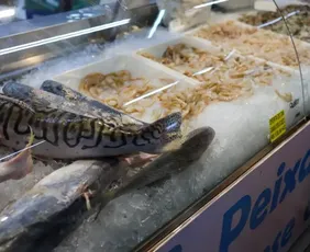 Imagem ilustrativa da imagem Vigilância Sanitária orienta sobre compra de pescado na Semana Santa