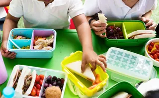 Imagem ilustrativa da imagem A lancheira que influencia o comportamento do seu filho
