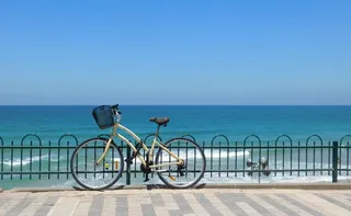 Imagem ilustrativa da imagem Um retrato