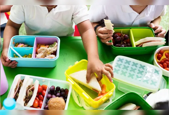 Imagem ilustrativa da imagem A lancheira que influencia o comportamento do seu filho