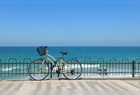 Imagem ilustrativa da imagem Um retrato