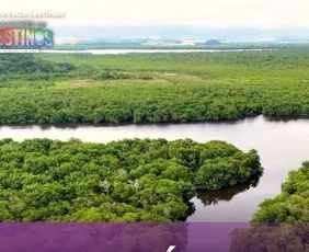 Imagem ilustrativa da imagem 09/05/2026 - Assista agora ao Caçadores de Destinos deste sábado