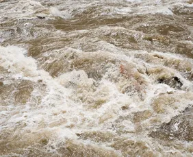 Imagem ilustrativa da imagem APAC alerta para chuvas fortes no Litoral e Zona da Mata durante o fim de semana