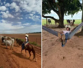 Imagem ilustrativa da imagem Ana Castela planeja pausa na carreira para ajudar o pai na Fazenda