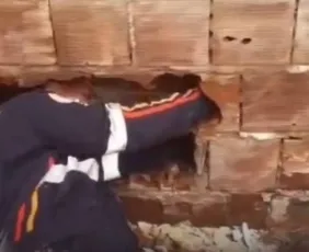 Imagem ilustrativa da imagem Bebê é encontrado abandonado entre muros de casas na Paraíba