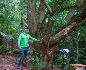 Imagem ilustrativa da imagem Crédito de carbono: agricultores vão receber para proteger a natureza