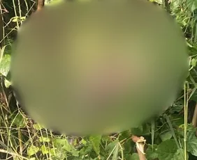Imagem ilustrativa da imagem Detento é encontrado morto em linha férrea na Serra