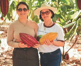 Imagem ilustrativa da imagem Falta de mão de obra é maior desafio para a fruticultura no ES