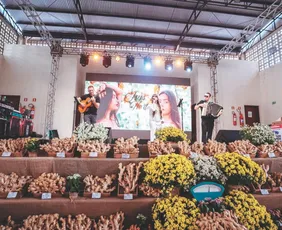 Imagem ilustrativa da imagem Festa do gengibre com shows de graça e delícias