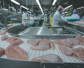 Imagem ilustrativa da imagem Governo do ES estuda doar área para instalação de abatedouro de aves