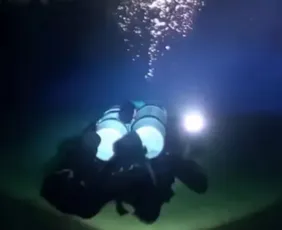 Imagem ilustrativa da imagem Local onde italianos morreram nas Maldivas tinha caverna de tubarões