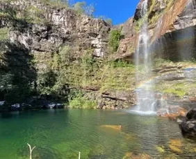 Imagem ilustrativa da imagem Menina de 8 anos é atacada por onça durante trilha na Chapada dos Veadeiros