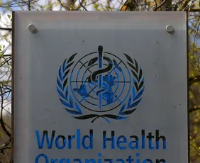 Imagem ilustrativa da imagem OMS declara emergência global por surto de ebola em dois países africanos