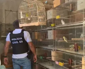 Imagem ilustrativa da imagem Operação fecha criadouro clandestino e resgata mais de 250 animais na Serra