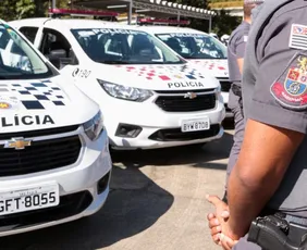 Imagem ilustrativa da imagem PM encontra corpo de criança com sinais de tortura em SP; pai é preso em flagrante